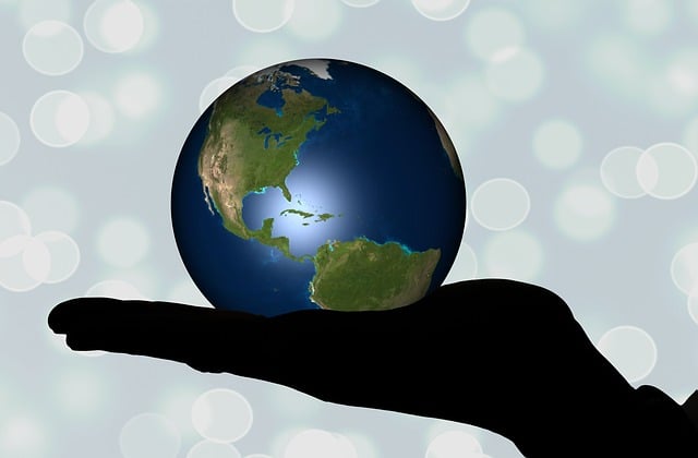 Expert Advice: Risks, Challenges, and Precautions