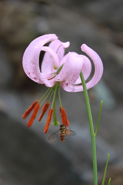 Common demo-to-live pitfalls and how to avoid them