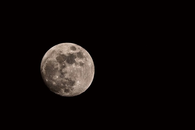 luna.x