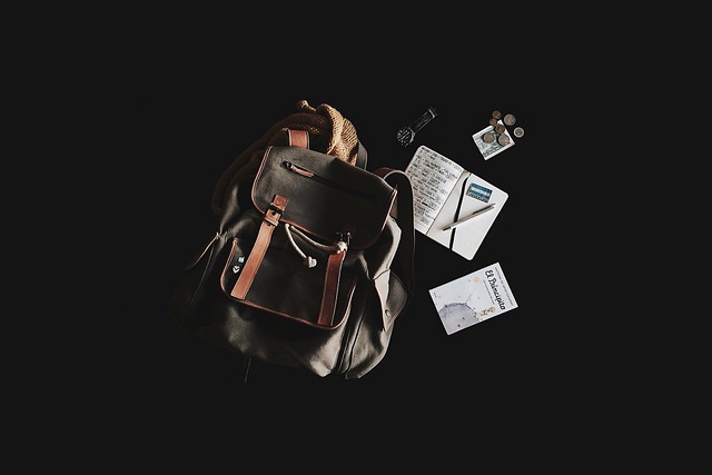 Guide