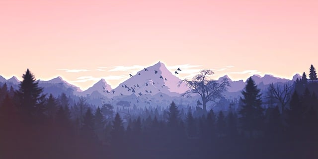 Rise