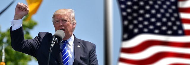 Understanding Donald Trump Coin in the Cryptocurrency Ecosystem
