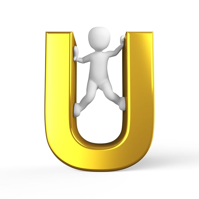 Understanding the Core Features of u Trading Bot