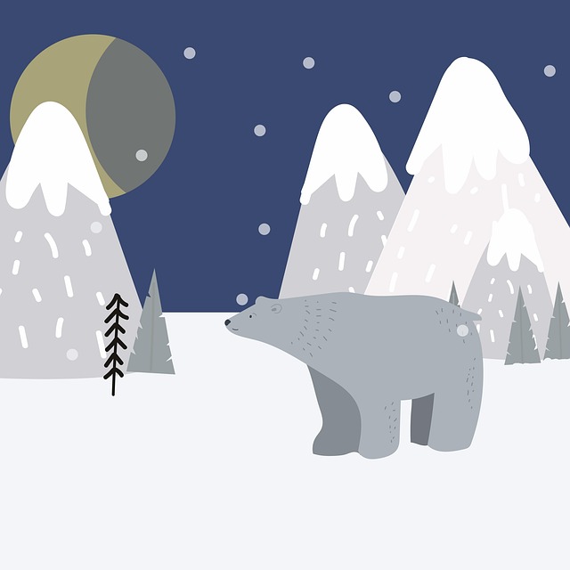 Risk management checklist