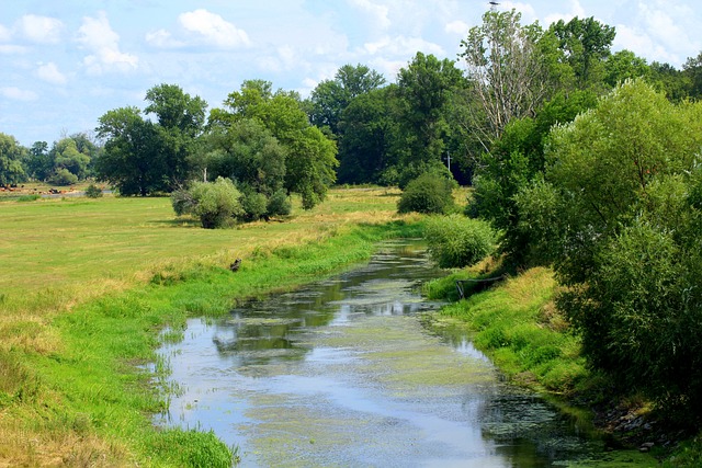 Channel