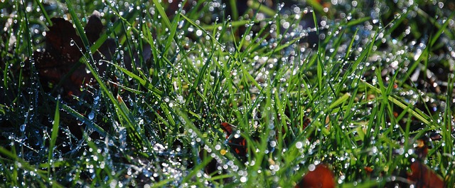 Practical examples and workflows