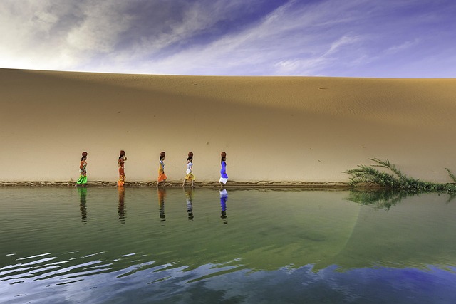 Fees and costs: What to expect