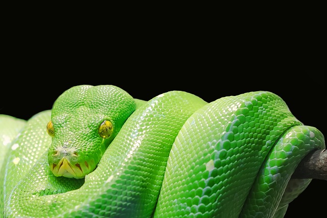 Security, Compliance, and Ethical Considerations