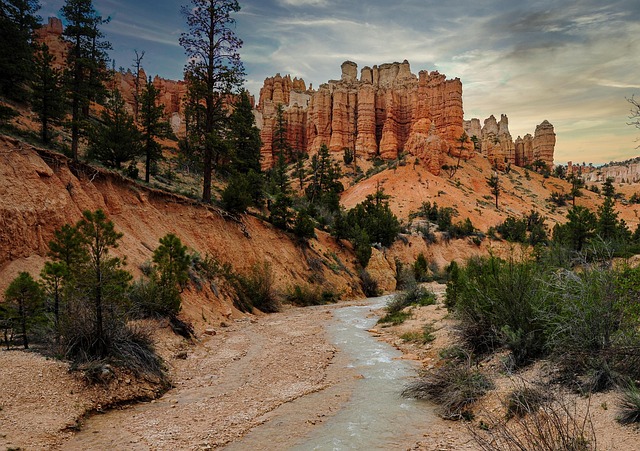 14. Pros and cons summary