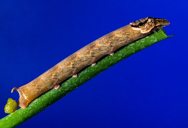 Common exit mistakes and how to avoid them