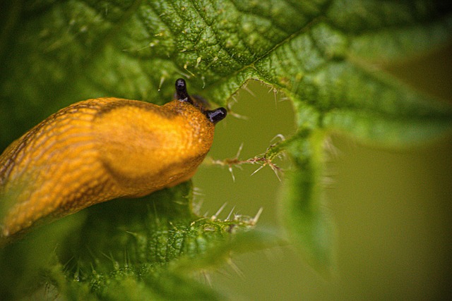 Practical example scenarios