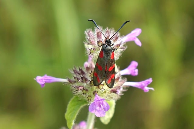 What is Spot Trading and Why Binance?