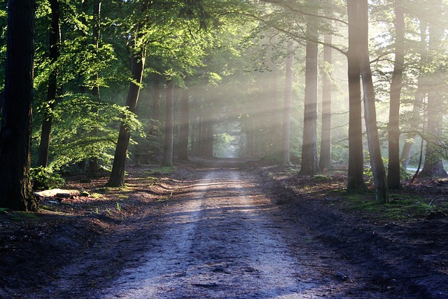 trailing