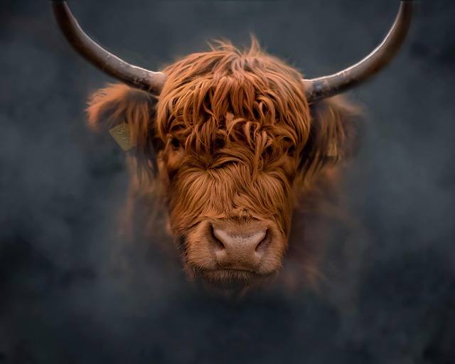 How to Prepare for the Next Bull Run