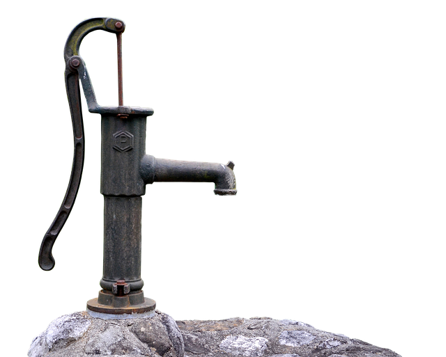 Understanding Crypto Pump Signals: What Are They and How Do They Work?