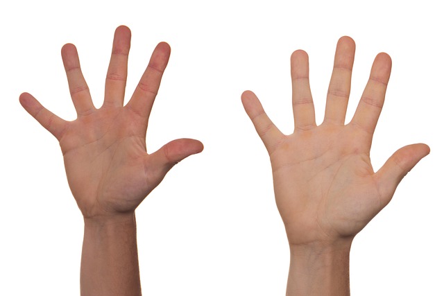 Additional Tips for a Seamless Transition