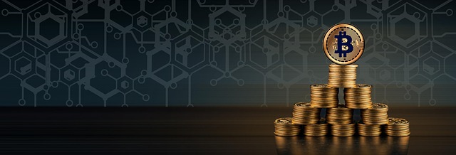 Criteria for Selecting the Optimal Bitcoin Trade Software