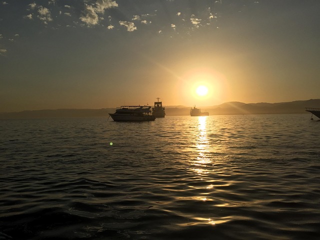 4. تيرّا (Terra)