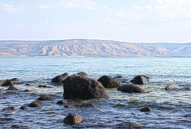 Deciding which route is best for you