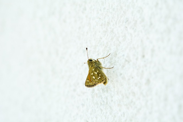 Commas