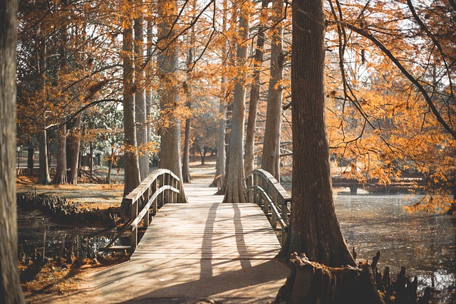Continuous Learning: Adapting to Change