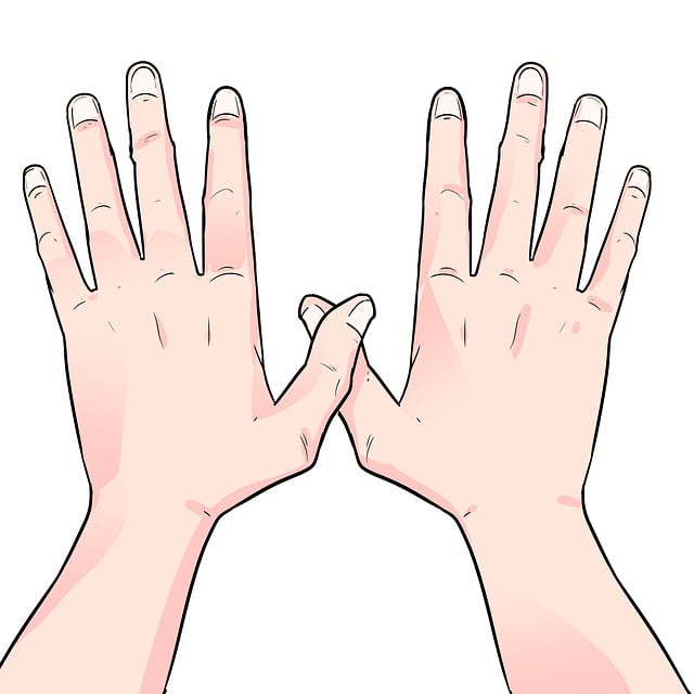 Why the question “will bitcoin price correct” matters