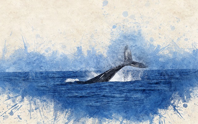 Whale