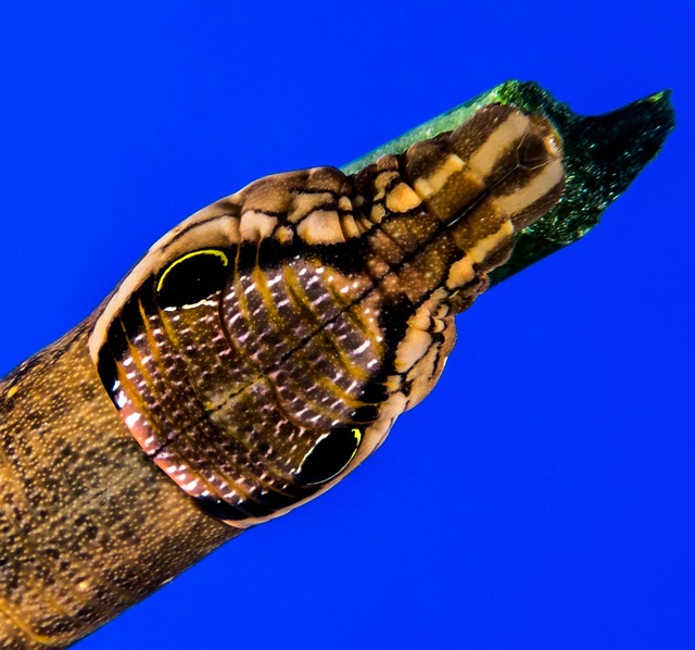 17. Resources and further learning