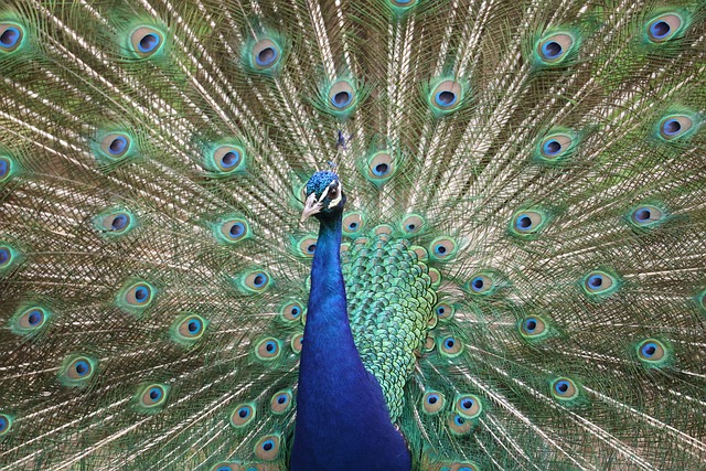 Why understanding spot trading fees matters