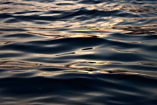 Conclusion: Navigating XRP’s Future with Caution and Insight