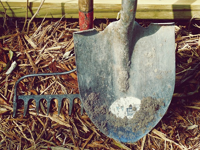 Tool