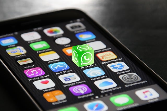 The Central Role of Telegram and WhatsApp Groups in Building a Robust Crypto Ecosystem