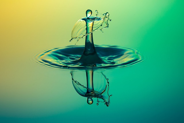 Regulatory Landscape and Its Potential Impact