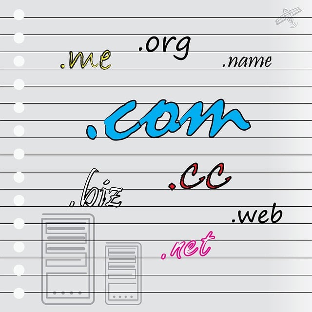 Limitations of the Free Plan and Strategies for Optimization