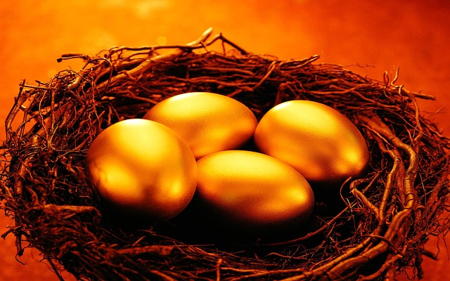 Wealth