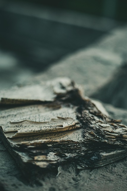 What a high-quality Binance trading book PDF in Urdu should include