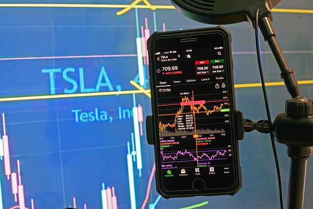 Risk and Reward: Comparing the Two Instruments in 2025