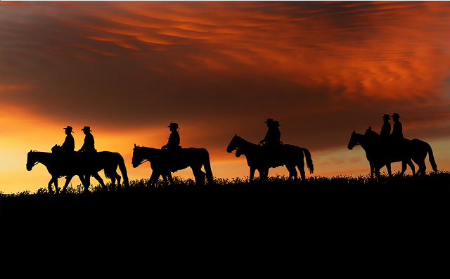 Further reading and official resources